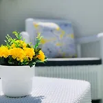 Apartmán Tiled *